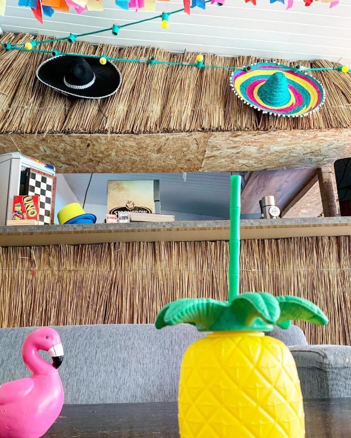 הוסטל Casa Barbie קוסטינסטי מראה חיצוני תמונה