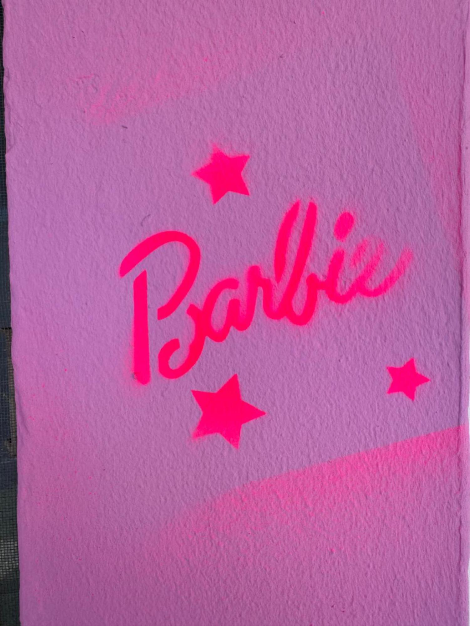 הוסטל Casa Barbie קוסטינסטי מראה חיצוני תמונה