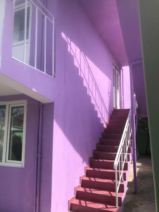 הוסטל Casa Barbie קוסטינסטי מראה חיצוני תמונה