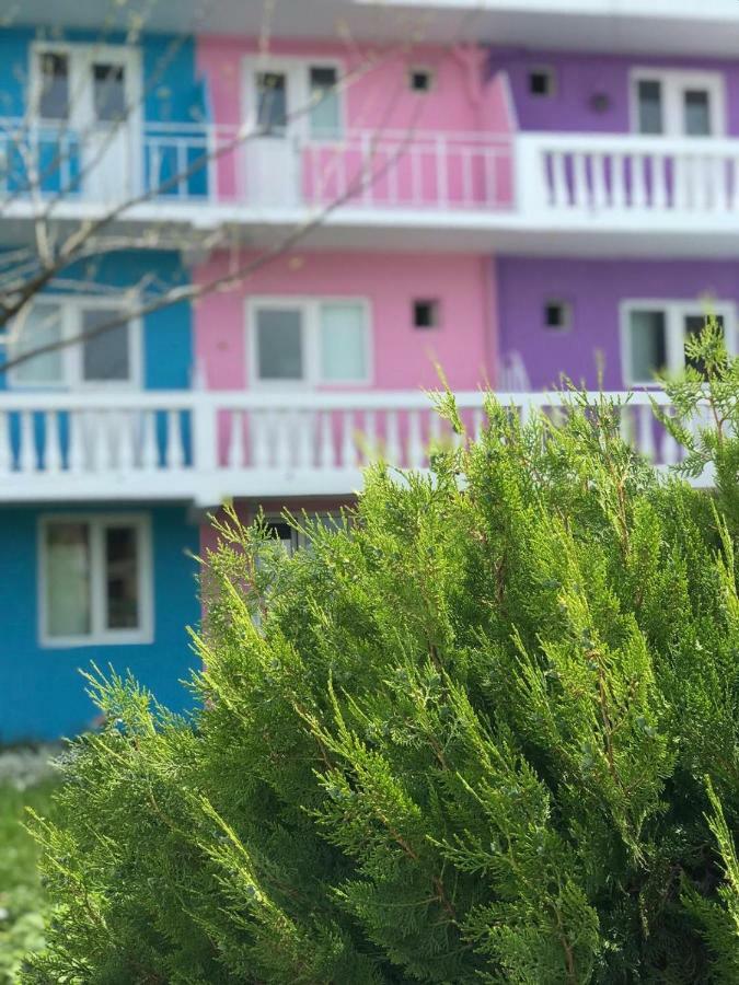 הוסטל Casa Barbie קוסטינסטי מראה חיצוני תמונה